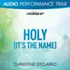 Holy (It's the Name) [Audio Performance Trax] - EP album lyrics, reviews, download