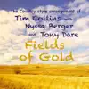 Fields of Gold (feat. Nyssa Berger & Tony Dare) - Single album lyrics, reviews, download