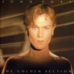 THE GOLDEN SECTION cover art