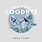 Can't Say Goodbye (Lusine Remix) - Morgan Visconti lyrics