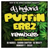 Puffin Erbz (Selec Remix) artwork