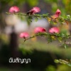โอ๋ โอลิเวีย - ฉันสัญญา