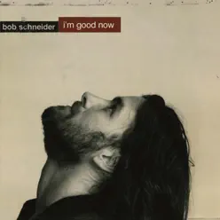 I'm Good Now - Bob Schneider