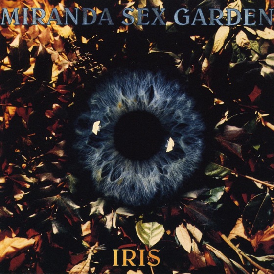 Cover artwork for Blue Light