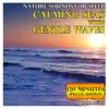 Nature Sounds for Sleep: Calming Seas with Gentle Waves: 120 Minutes Special Edition album lyrics, reviews, download