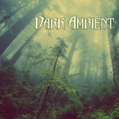 Dark Ambient Music - Nature Sounds, Creepy Soundscapes with Rain Background Sound artwork