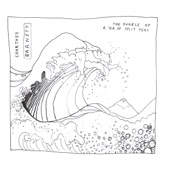 David - Courtney Barnett