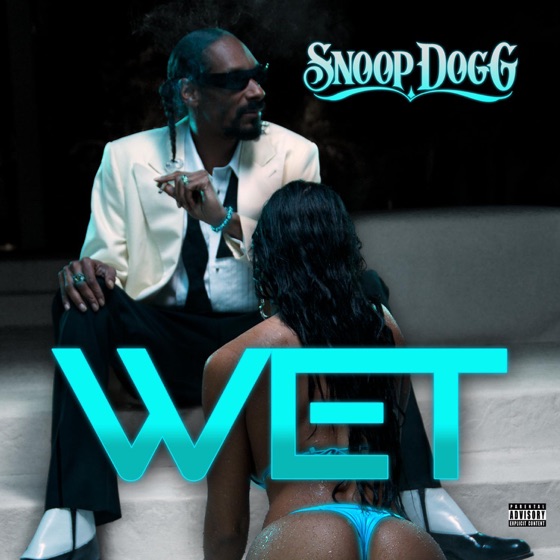 Cover artwork for Wet