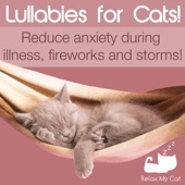 Lullabies for Cats! - Reduce Anxiety During Illness, Fireworks and Storms! artwork