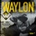 Waylon Jennings-Cactus Texas