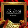 Stream & download J.S. Bach , Cantatas I