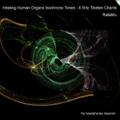 Healing Human Organs Isochronic Tones - 4.5Hz Tibetan Chants artwork