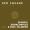 The Core (Drumcomplex & Roel Salemink Remix) - Red Square lyrics