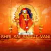 Shri Sai Amrut Vani album lyrics, reviews, download