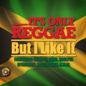 It's Only Reggae – but I Like It! artwork