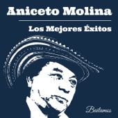 Los Mejores Éxitos de Aniceto Molina artwork