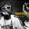 David Guetta & Snoop Dogg - Bad 4Me
