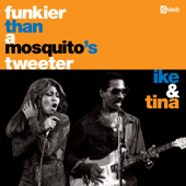 Funkier Than a Mosquito's Tweeter - Ike & Tina Turner