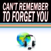 Can't Remember to Forget You (Originally Performed by Shakira & Rihanna) [Karaoke Version] - Single