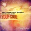 Your Soul (Remixes) [feat. Ridgewalkers] - Single album lyrics, reviews, download