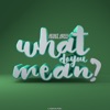 What Do You Mean? - EP