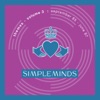 Don't You (Forget About Me) by Simple Minds iTunes Track 23