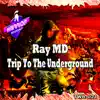 Trip To the Underground - Single album lyrics, reviews, download