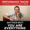 You Are Everything (Performance Tracks) - EP album lyrics, reviews, download