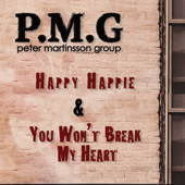 You Won't Break My Heart - Peter Martinsson Group