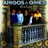 Amigos de Gines - El camino con Gines