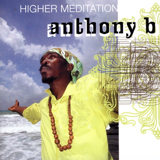 Cover artwork for Smoke Weed Everyday