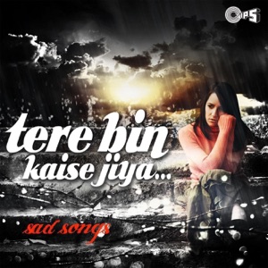 Tere Bin Kaise Jiya (Sad Songs)