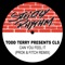 Todd Terry Presents: Can You Feel It - CLS lyrics
