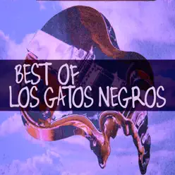 Best Of.... (feat. Frank Andrada) - Los Gatos Negros Best Of.... (feat. Frank Andrada) - Los Gatos Negros