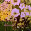 Blossom - EP album lyrics, reviews, download