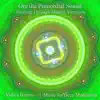 Om the Primordial Sound: Healing Through Mantra Vibration album lyrics, reviews, download