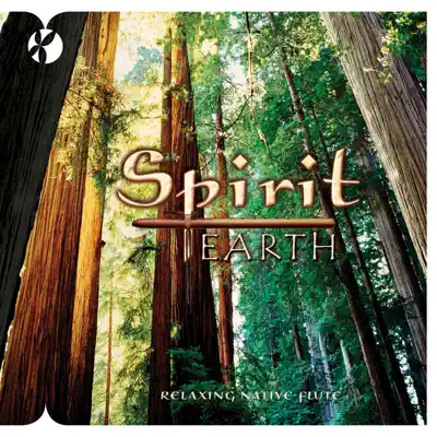 Spirit Earth - Reflections