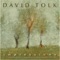 Evening On the Seine - David Tolk lyrics