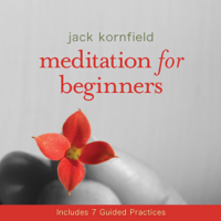 Jack Kornfield - Meditation for Beginners (Unabridged) artwork