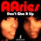 Don't Give It Up - Aaries lyrics