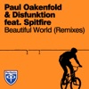 Beautiful World (feat. Spitfire) [Remixes] - Single
