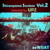 Shisanyama Sessions, Vol. 2 (Selected by UPZ)