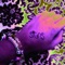 EY (A Nattymari Reconsideration) - Signs lyrics