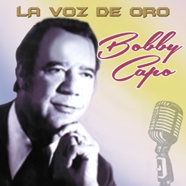 Resultado de imagen para Bobby Capo la Voz de Oro