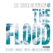 The Flood (Live) artwork