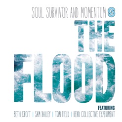 THE FLOOD cover art