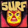 The Honeys - Surfin' Down the Swanee River