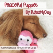 Peaceful Puppies - Calming Music for Anxiety artwork