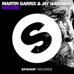 Wizard (Remixes) - Martin Garrix