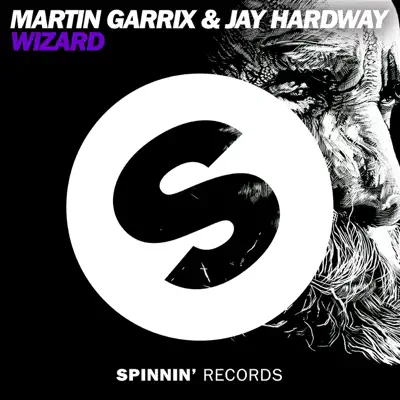 Wizard (Remixes) - Martin Garrix